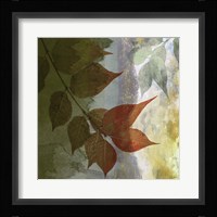 Lush Moonlight Framed Print