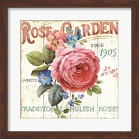 Rose Garden I Fine Art Print