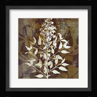 Prairie Mix I Framed Print