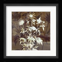 Prairie Mix II Framed Print