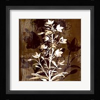 Prairie Mix V Framed Print
