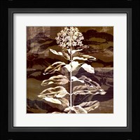 Prairie Mix VI Framed Print