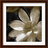 Bronze Lily I Fine Art Print