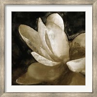 Bronze Lily V Fine Art Print