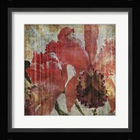 Pacific Orchid I Framed Print