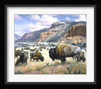 Goodnight's Legacy Fine Art Print