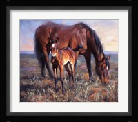 The Bay Filly Fine Art Print