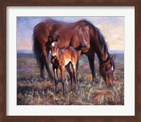 The Bay Filly Fine Art Print