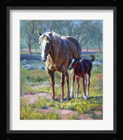 Made in the Shade Fine Art Print