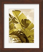 Palm Fronds I Fine Art Print