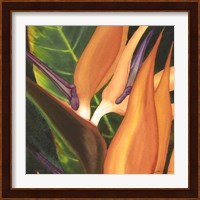 Bird Of Paradise Tile I Fine Art Print