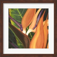 Bird Of Paradise Tile I Fine Art Print