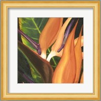 Bird Of Paradise Tile I Fine Art Print