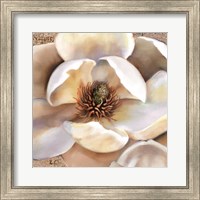 Magnolia Masterpiece II Fine Art Print