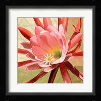 Desert Bloom I Framed Print