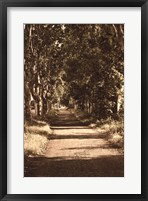 Road to St.Remy Fine Art Print