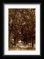 Road to Giverny Framed Print