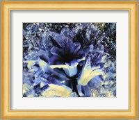 Silverbell I Fine Art Print