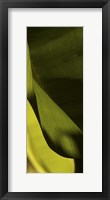 Leaf Detail III Framed Print
