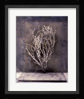Desert Form III Fine Art Print