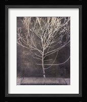 Desert Form IV Fine Art Print