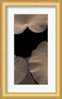 Lotus II Fine Art Print