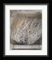 Desert Form V Fine Art Print