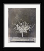 Desert Form VI Fine Art Print