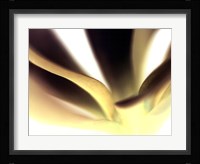 Petal II Fine Art Print