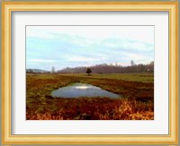 Landscape I Fine Art Print