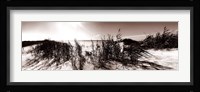 The Wind in the Dunes I Fine Art Print