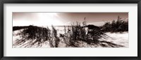 The Wind in the Dunes I Fine Art Print