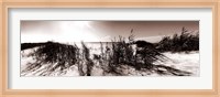 The Wind in the Dunes I Fine Art Print
