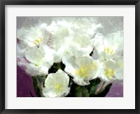 Sunlit Tulips I Framed Print