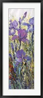 Iris Field I Framed Print