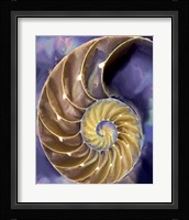 Shell Extraction II Fine Art Print