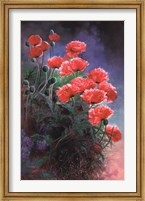 Vibrant Poppies Fine Art Print