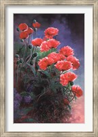 Vibrant Poppies Fine Art Print