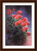 Vibrant Poppies Fine Art Print