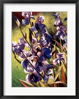 Iris Garden I Fine Art Print