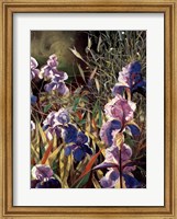 Iris Garden II Fine Art Print