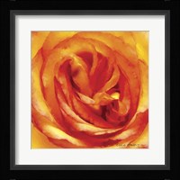 Painterly Flower I Fine Art Print