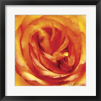 Painterly Flower I Fine Art Print