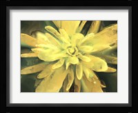 Painterly Flower VII Fine Art Print