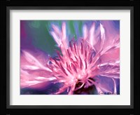 Painterly Flower VIII Fine Art Print