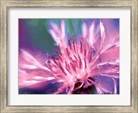 Painterly Flower VIII Fine Art Print