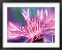 Painterly Flower VIII Fine Art Print