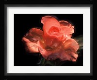 Painterly Flower IV Fine Art Print