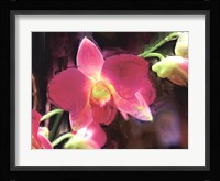 Painterly Flower V Fine Art Print
