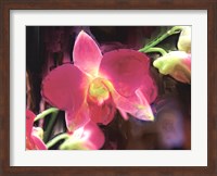 Painterly Flower V Fine Art Print